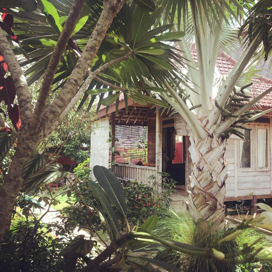 Harry'S Ocean House Pacitan Apartman Kültér fotó